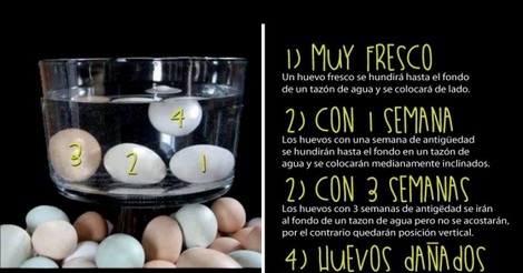 Como se sabe si un huevo esta podrido